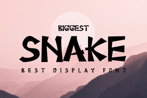Designing with Biggest Snake: A Display Font for Digital Identity