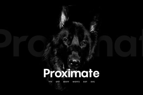 Proximate: A Bold Display Font Built for Distinctive Branding